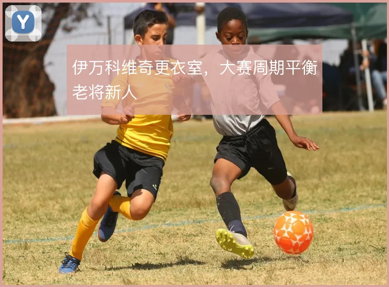伊万科维奇更衣室,大赛周期平衡老将新人