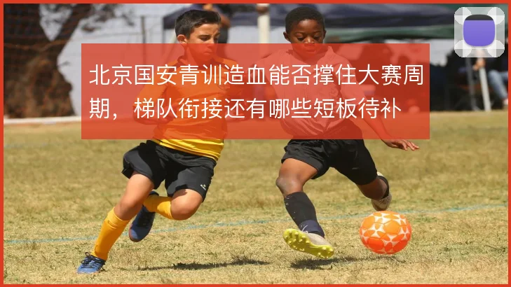 北京国安青训造血能否撑住大赛周期，梯队衔接还有哪些短板待补