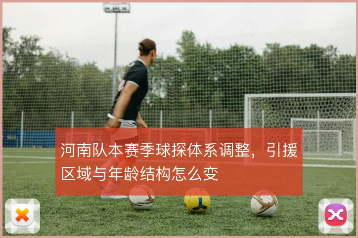 河南队本赛季球探体系调整,引援区域与年龄结构怎么变