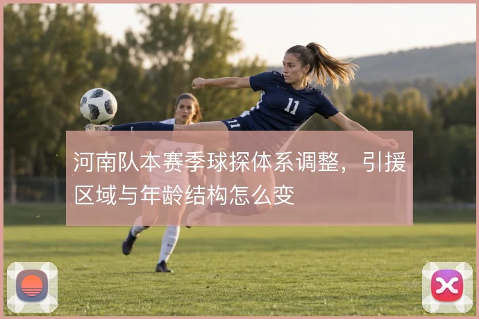 河南队本赛季球探体系调整，引援区域与年龄结构怎么变