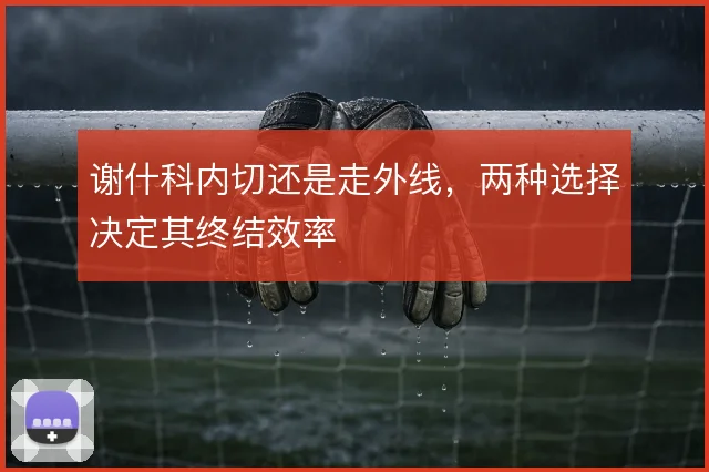 谢什科内切还是走外线，两种选择决定其终结效率