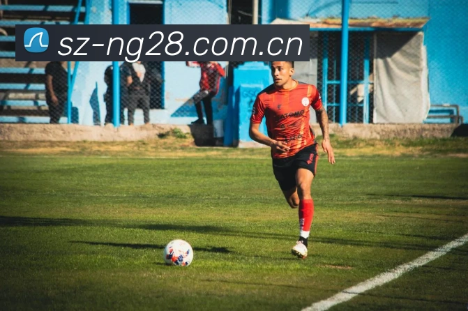 对战数据统计